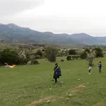 Kokkymelon