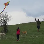Kokkymelon