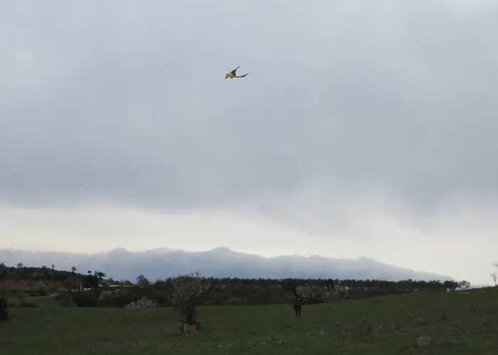 Gasthof Kokkymelon 3*